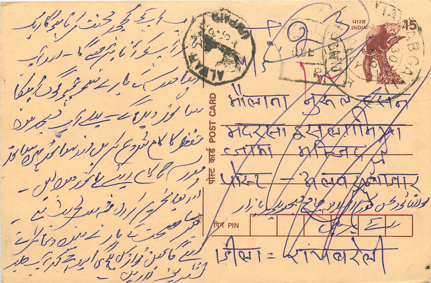 Inde India Cover Card Postal Stationary Singe Monkey Lemurien