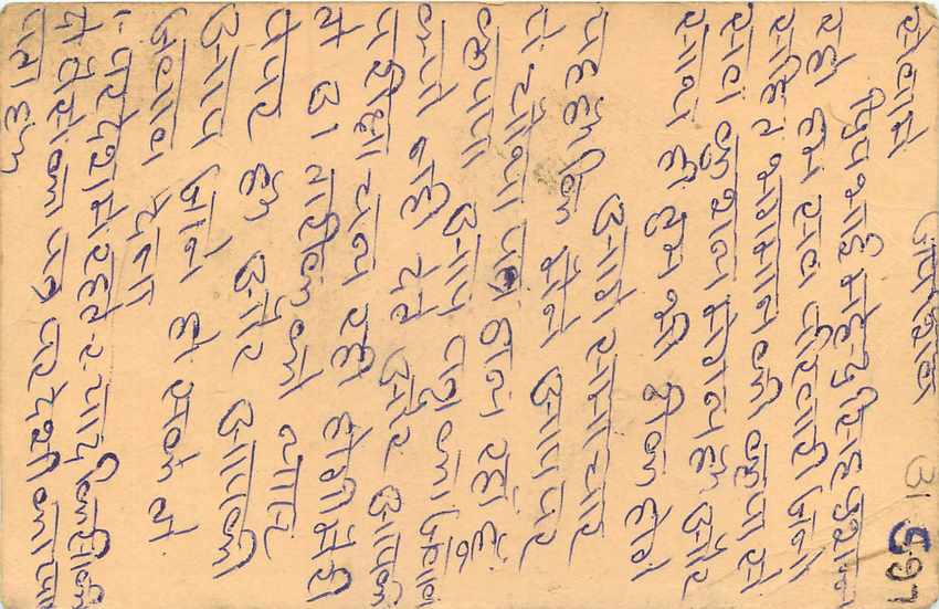 Inde India Cover Card Postal Stationary Singe Monkey Lemurien — Verso