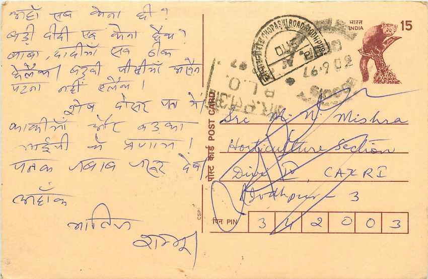 Inde India Cover Card Postal Stationary Singe Monkey Lemurien