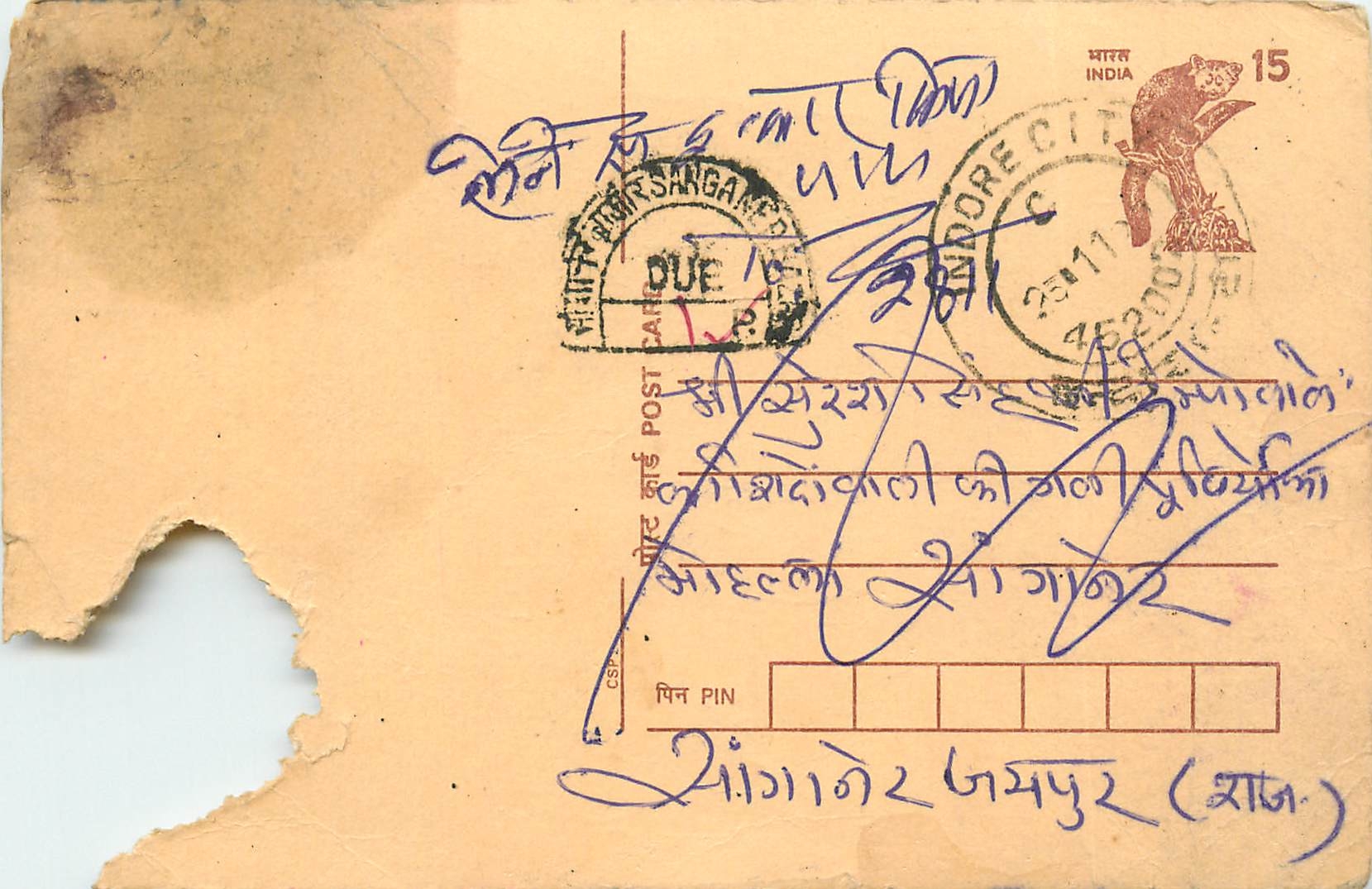 Inde India Cover Card Postal Stationary Singe Monkey Lemurien