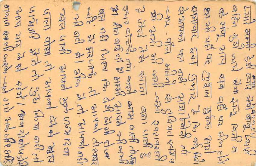 Inde India Cover Card Postal Stationary Singe Monkey Lemurien — Verso