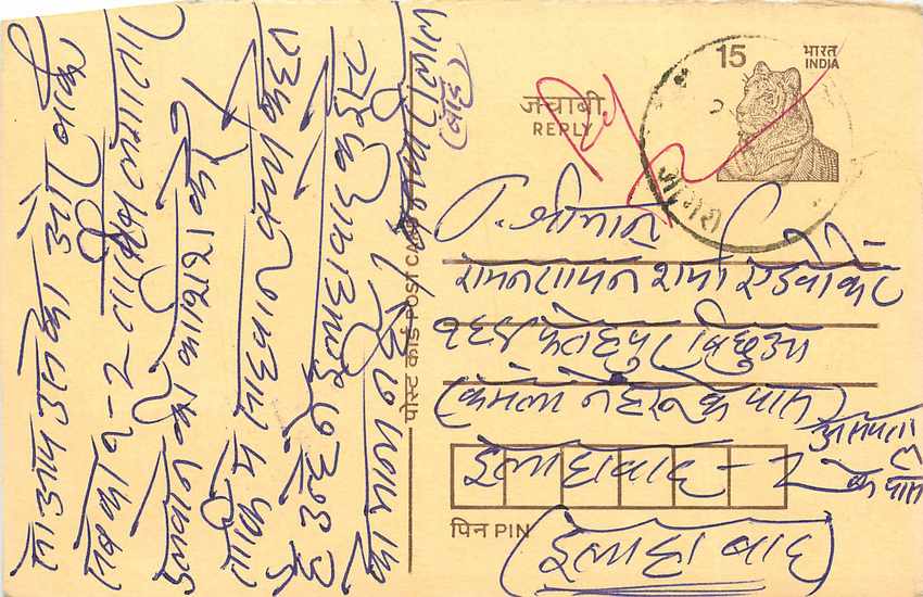 Inde India Cover Card Postal Stationary Tigre