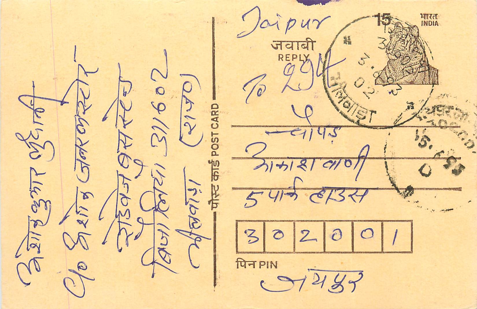 Inde India Cover Card Postal Stationary Tigre