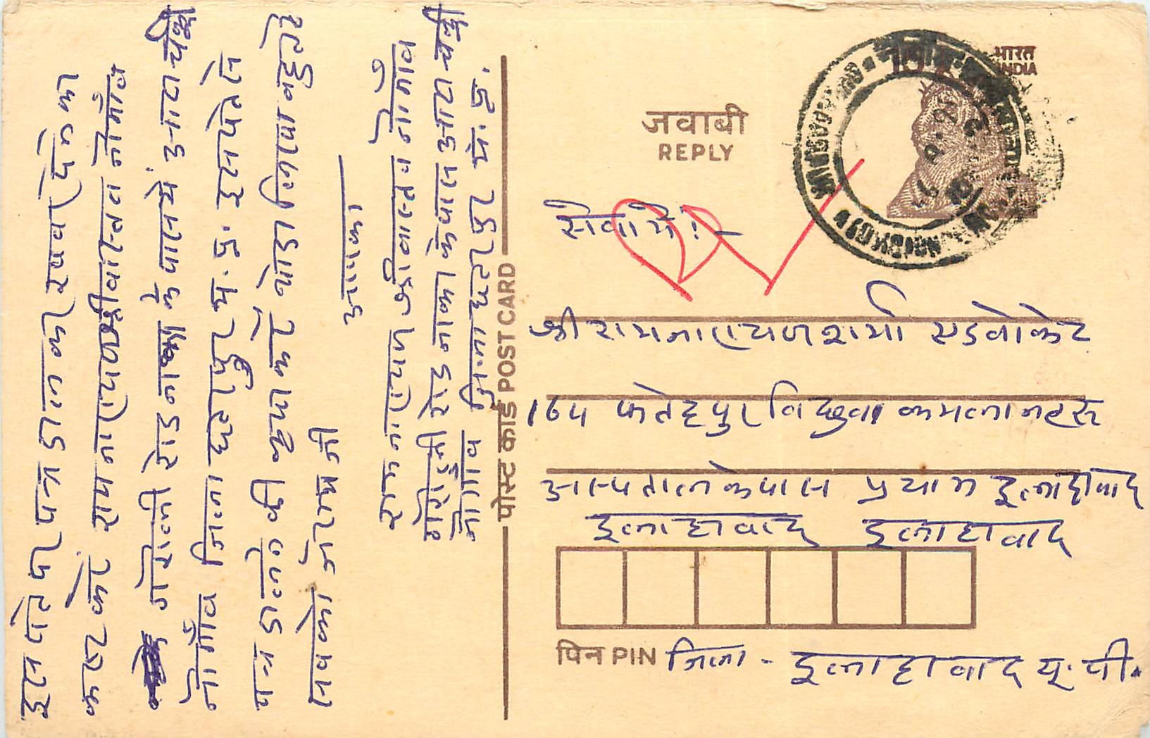 Inde India Cover Card Postal Stationary Tigre