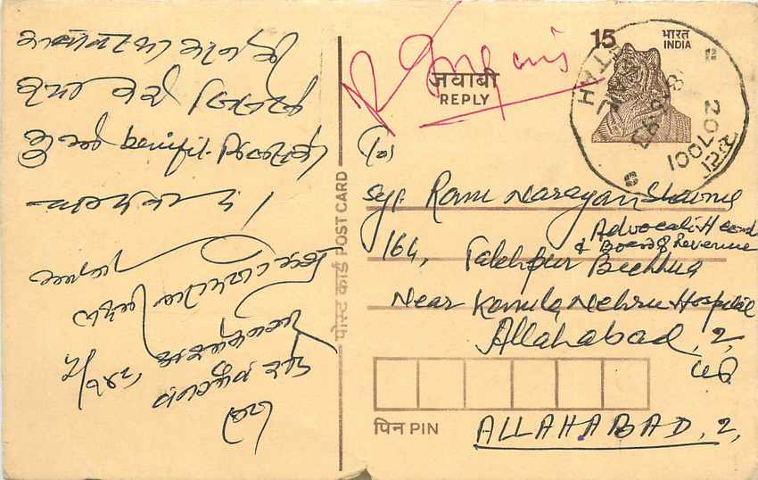 Inde India Cover Card Postal Stationary Tigre