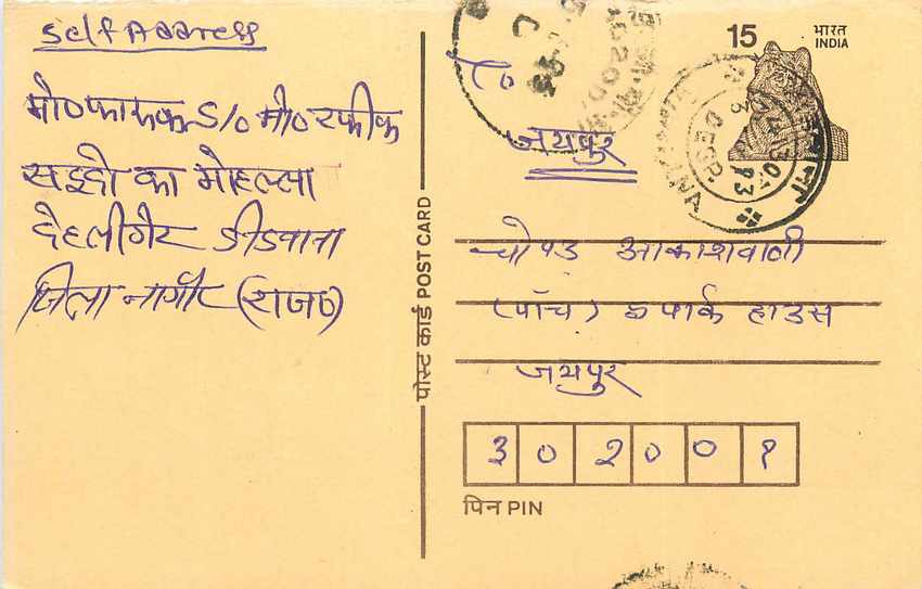 Inde India Cover Card Postal Stationary Tigre