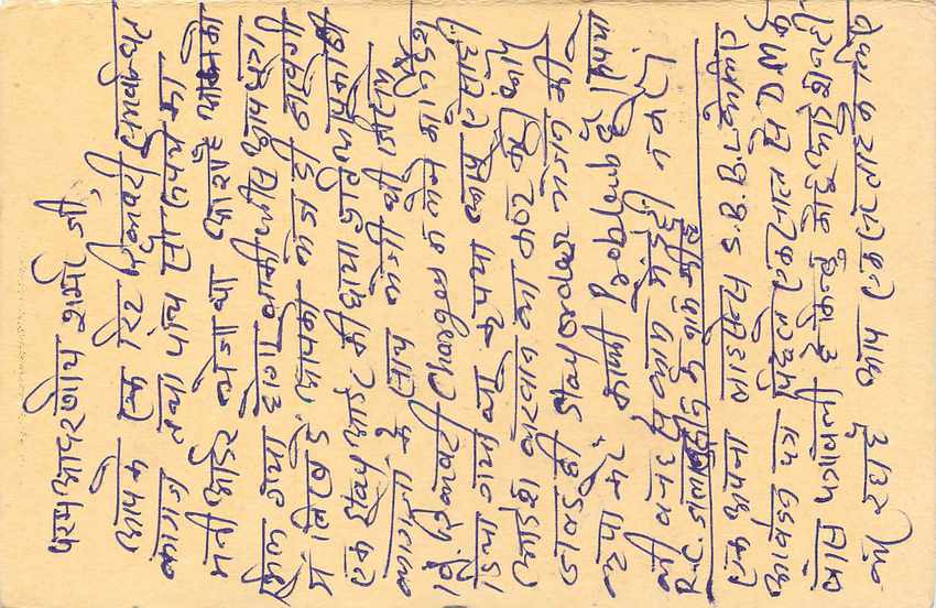 Inde India Cover Card Postal Stationary Tigre — Verso