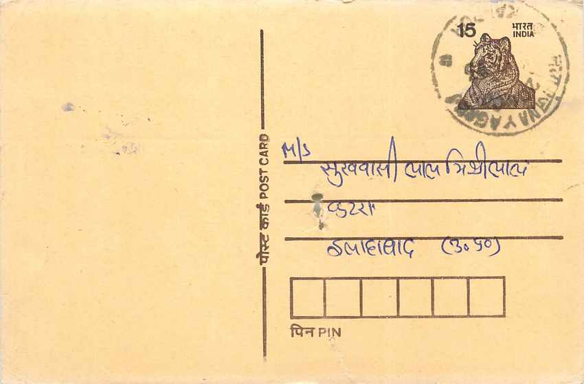 Inde India Cover Card Postal Stationary Tigre