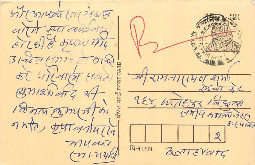 Inde India Cover Card Postal Stationary Tigre