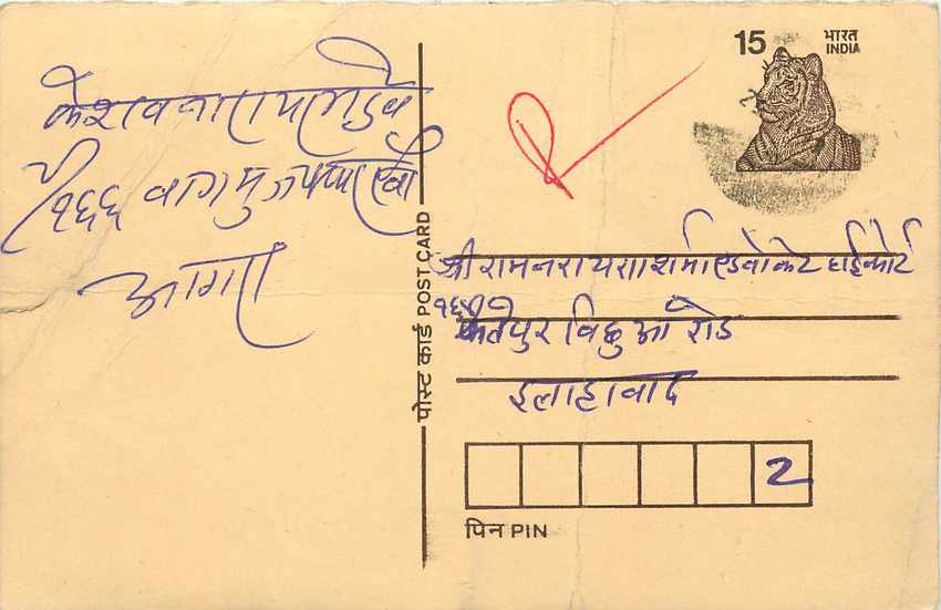 Inde India Cover Card Postal Stationary Tigre