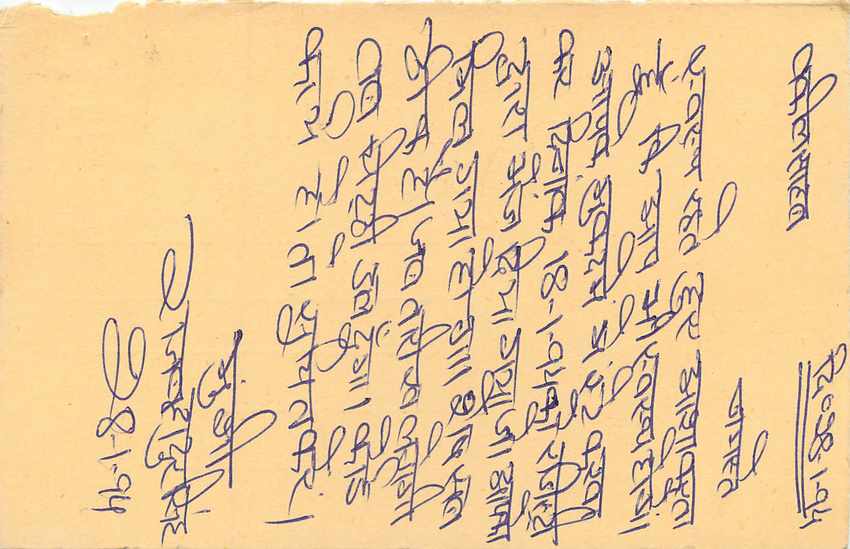 Inde India Cover Card Postal Stationary Tigre — Verso