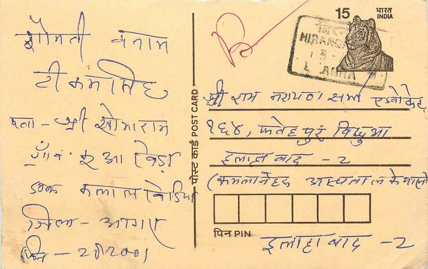 Inde India Cover Card Postal Stationary Tigre