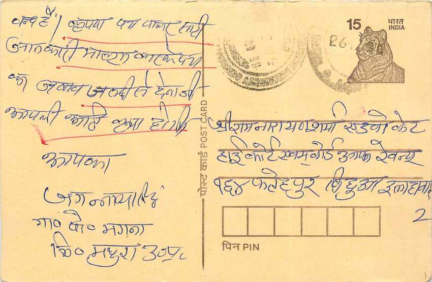 Inde India Cover Card Postal Stationary Tigre