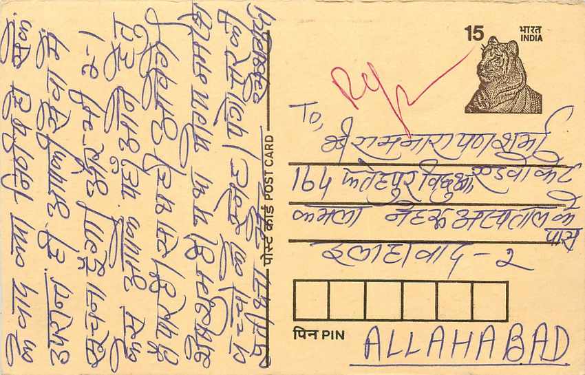 Inde India Cover Card Postal Stationary Tigre