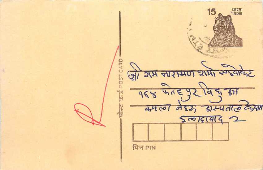 Inde India Cover Card Postal Stationary Tigre