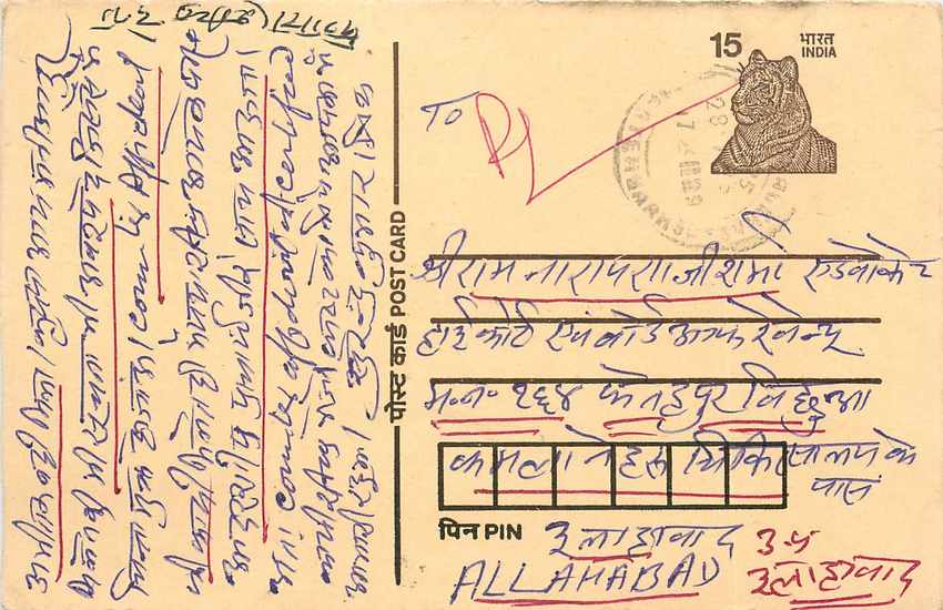 Inde India Cover Card Postal Stationary Tigre