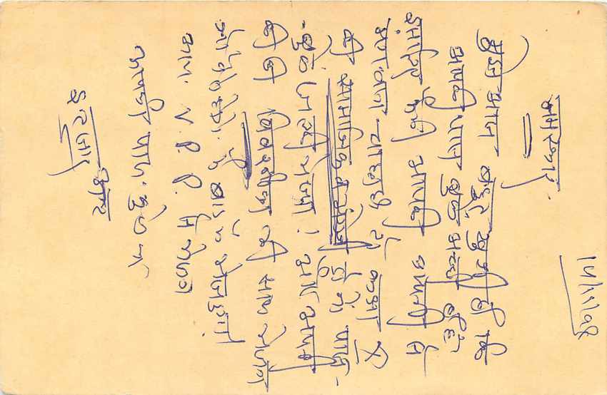 Inde India Cover Card Postal Stationary Tigre — Verso