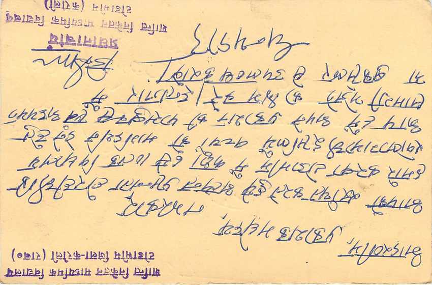 Inde India Cover Card Postal Stationary Tigre — Verso