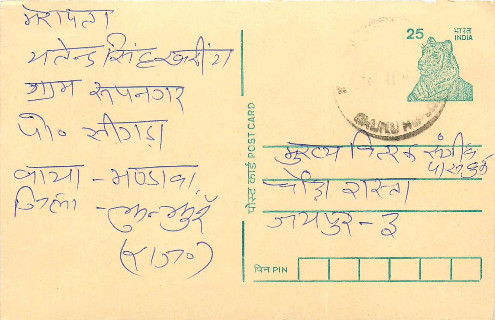 Inde India Cover Card Postal Stationary Tigre
