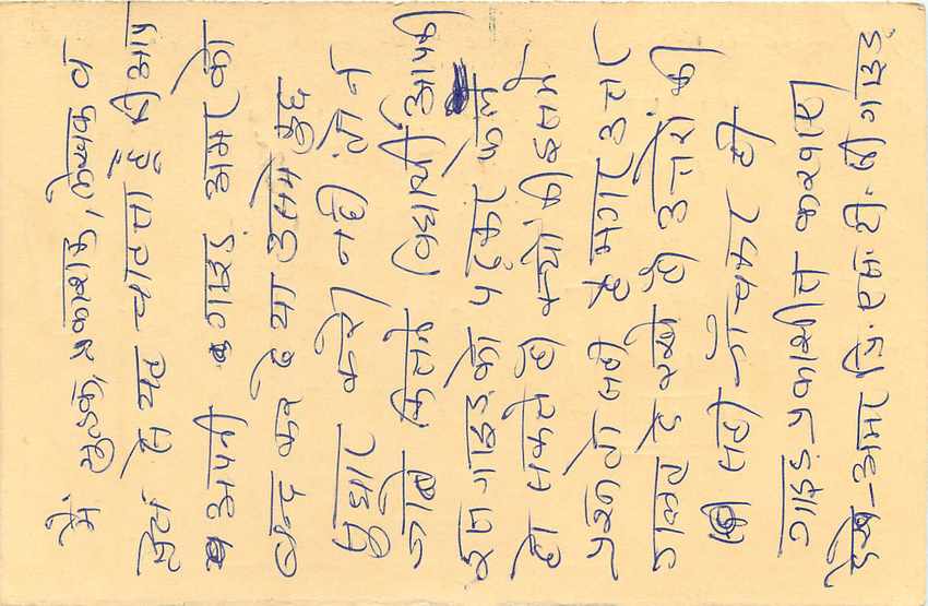 Inde India Cover Card Postal Stationary Tigre — Verso