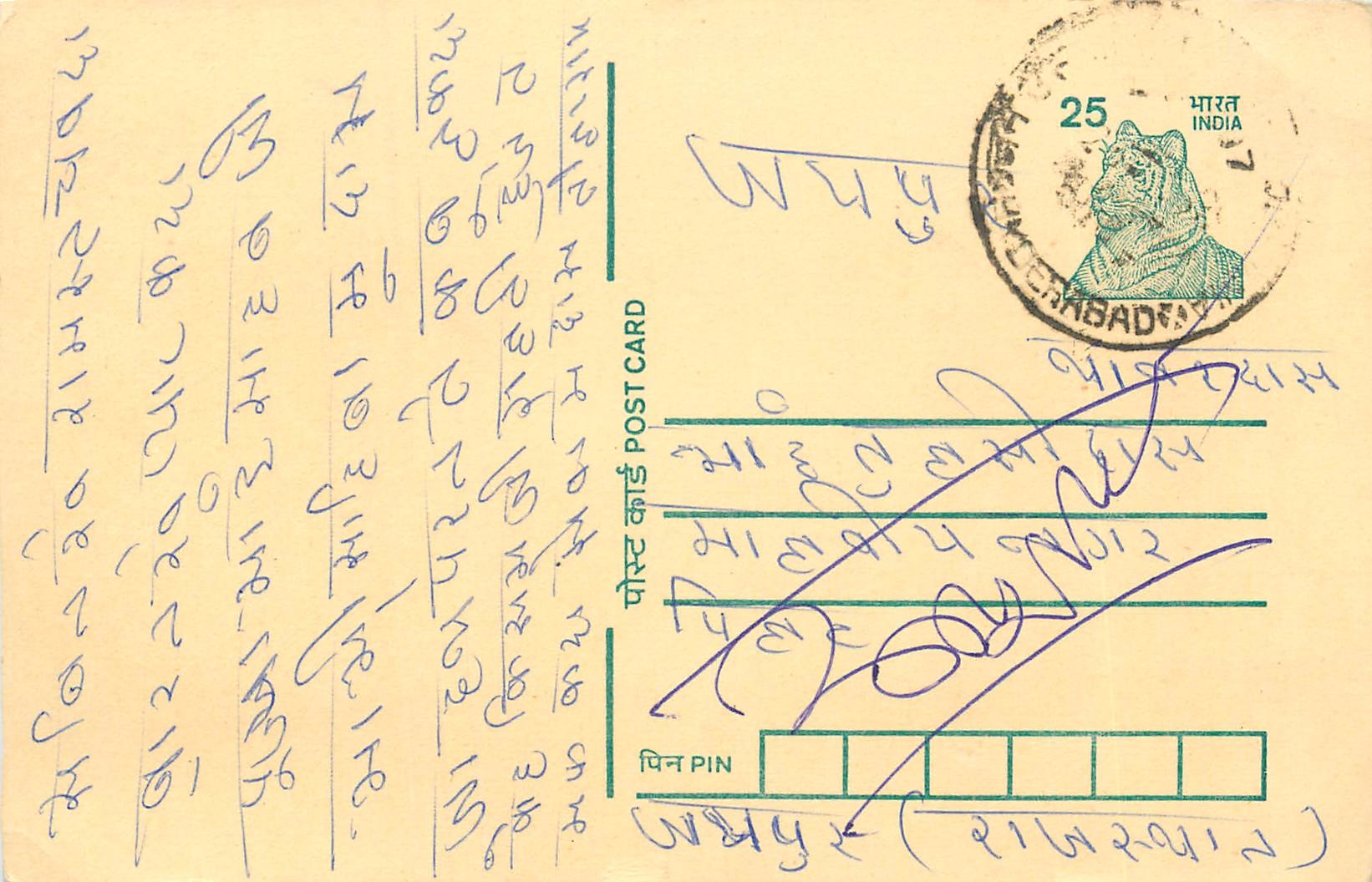 Inde India Cover Card Postal Stationary Tigre