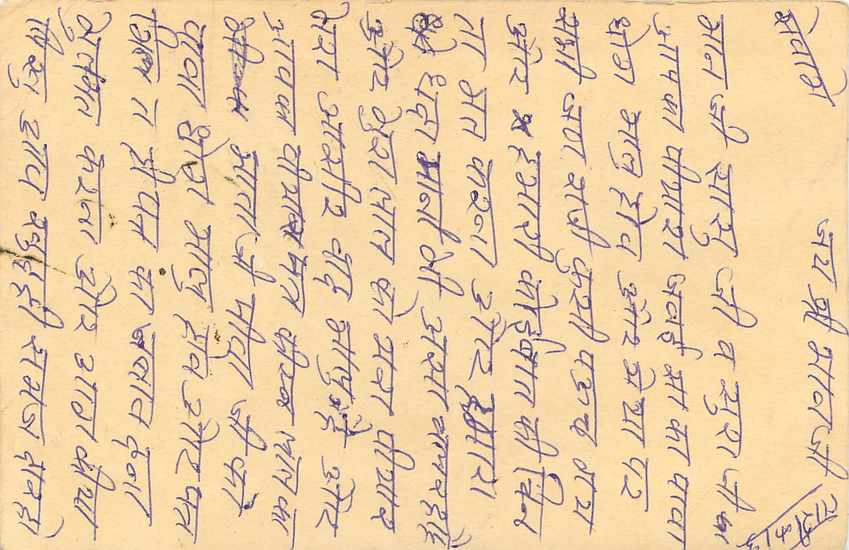 Inde India Cover Card Postal Stationary Tigre — Verso