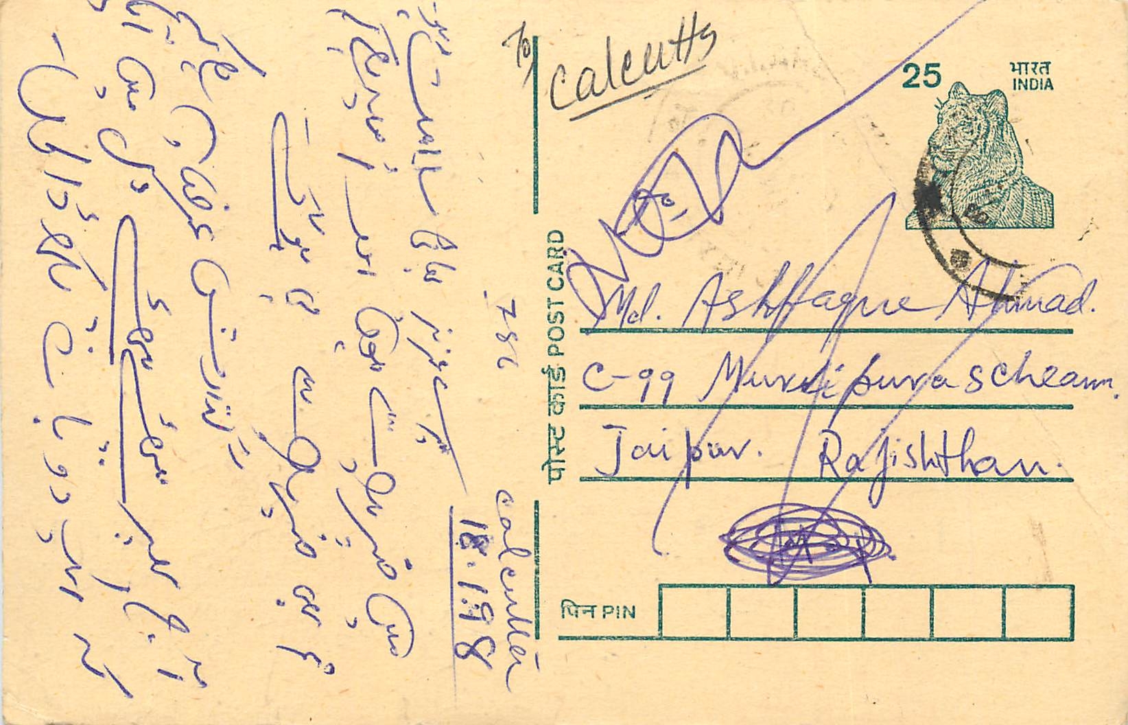 Inde India Cover Card Postal Stationary Tigre