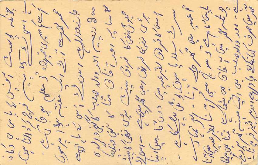 Inde India Cover Card Postal Stationary Tigre — Verso