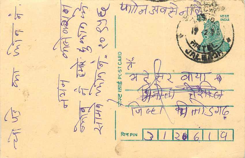 Inde India Cover Card Postal Stationary Tigre