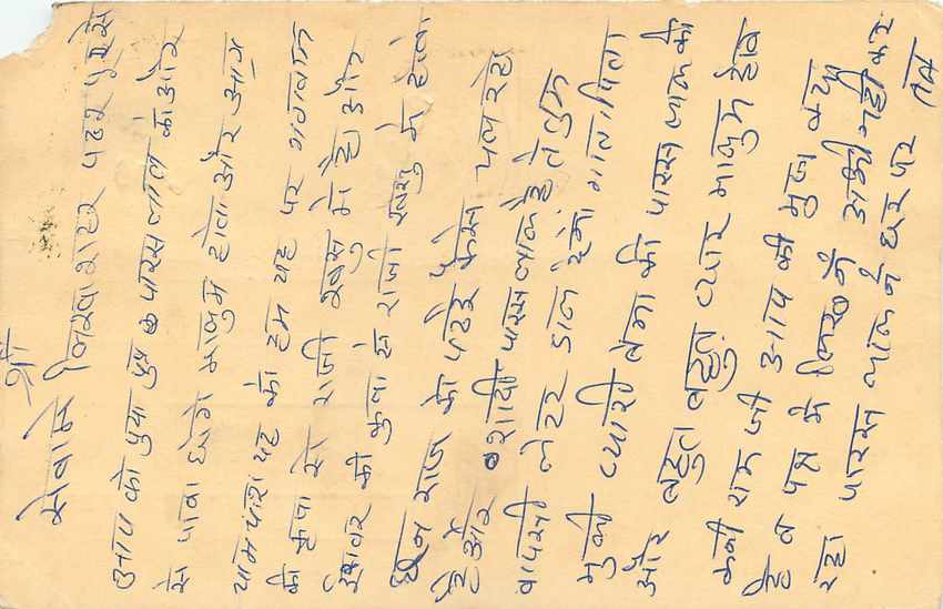 Inde India Cover Card Postal Stationary Tigre — Verso