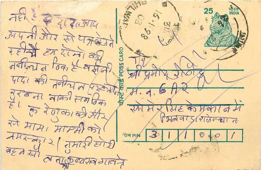 Inde India Cover Card Postal Stationary Tigre