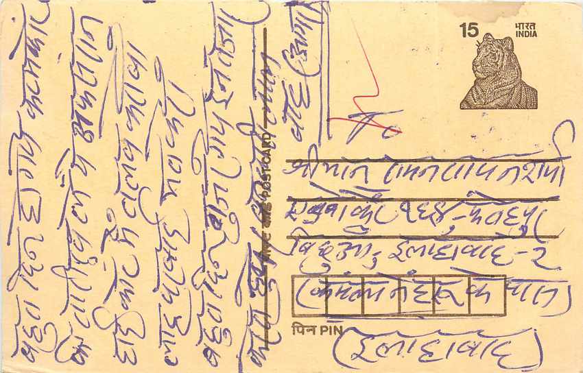 Inde India Cover Card Postal Stationary Tigre