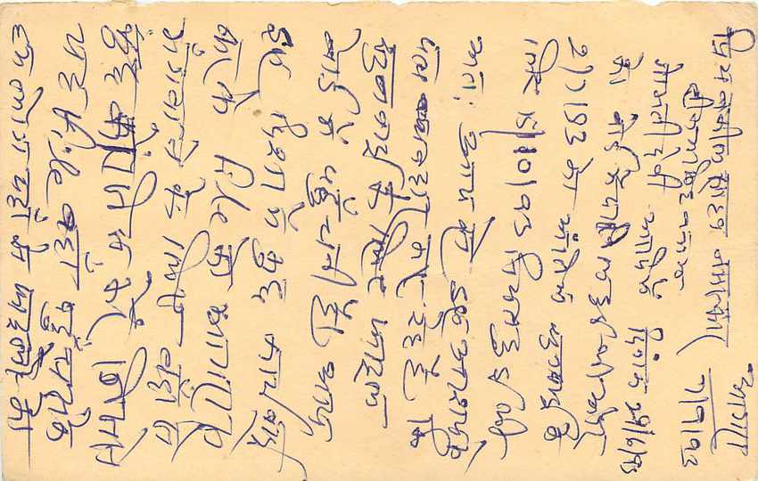 Inde India Cover Card Postal Stationary Tigre — Verso