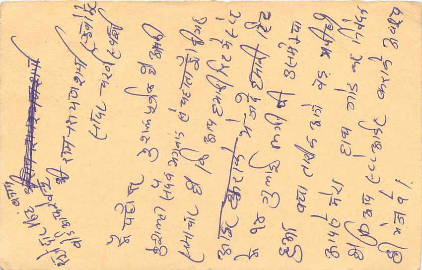Inde India Cover Card Postal Stationary Tigre — Verso