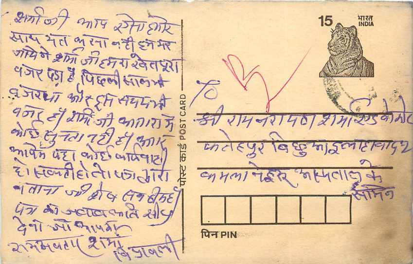 Inde India Cover Card Postal Stationary Tigre