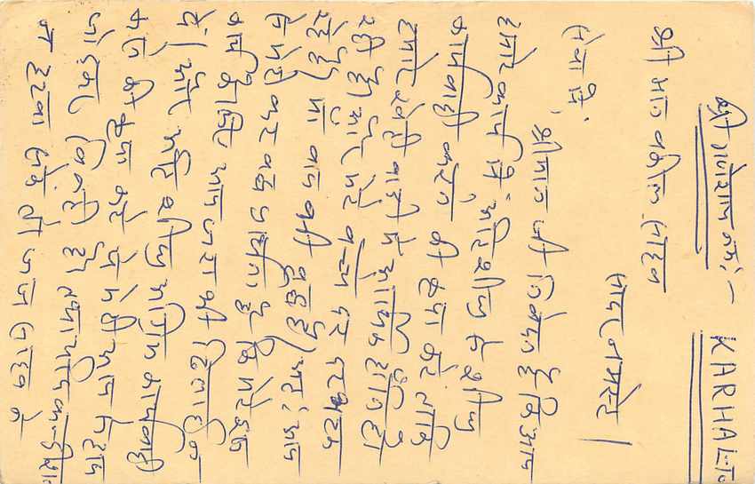 Inde India Cover Card Postal Stationary Tigre — Verso
