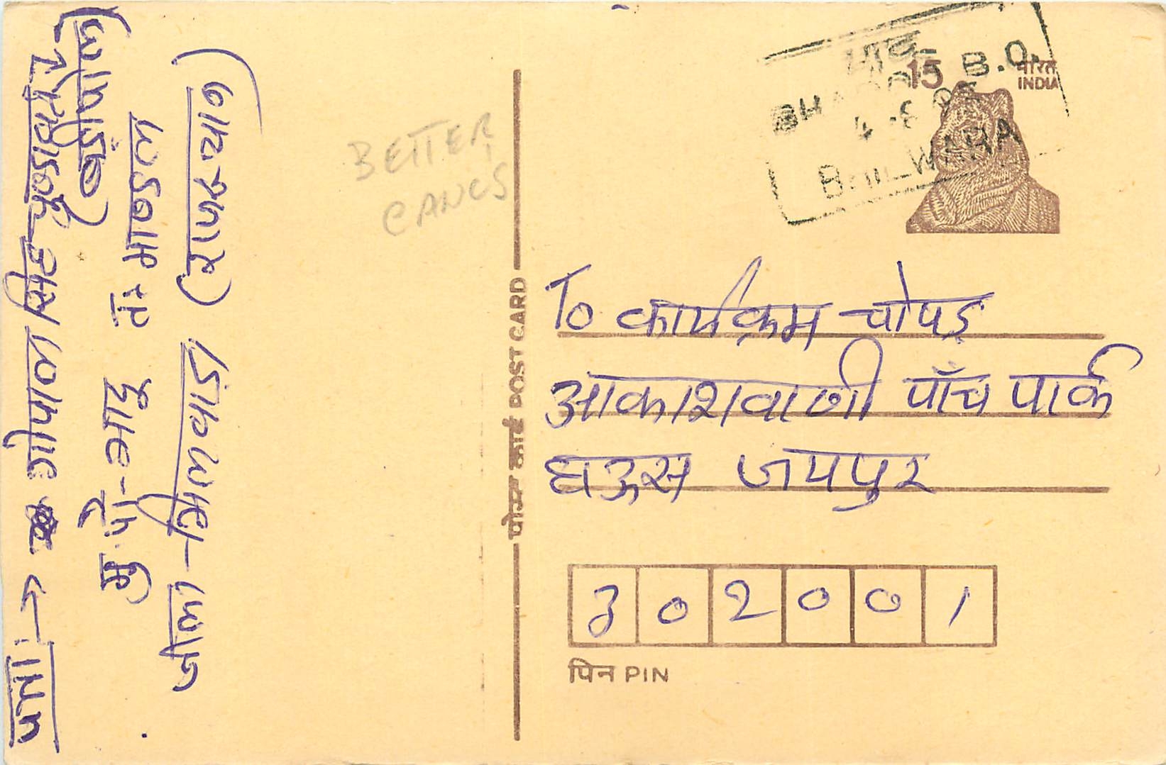 Inde India Cover Card Postal Stationary Tigre