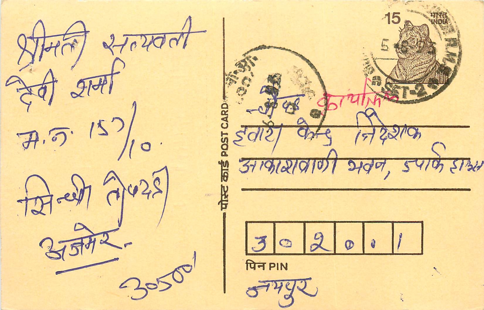 Inde India Cover Card Postal Stationary Tigre