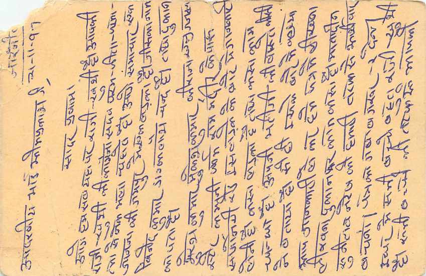 Inde India Cover Card Postal Stationary Tigre — Verso