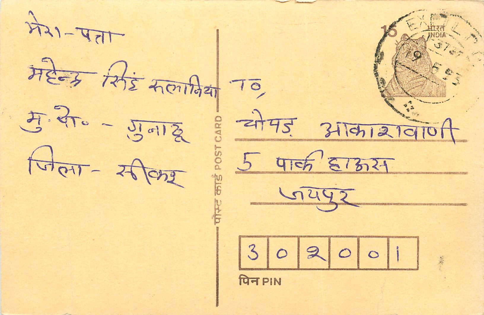 Inde India Cover Card Postal Stationary Tigre