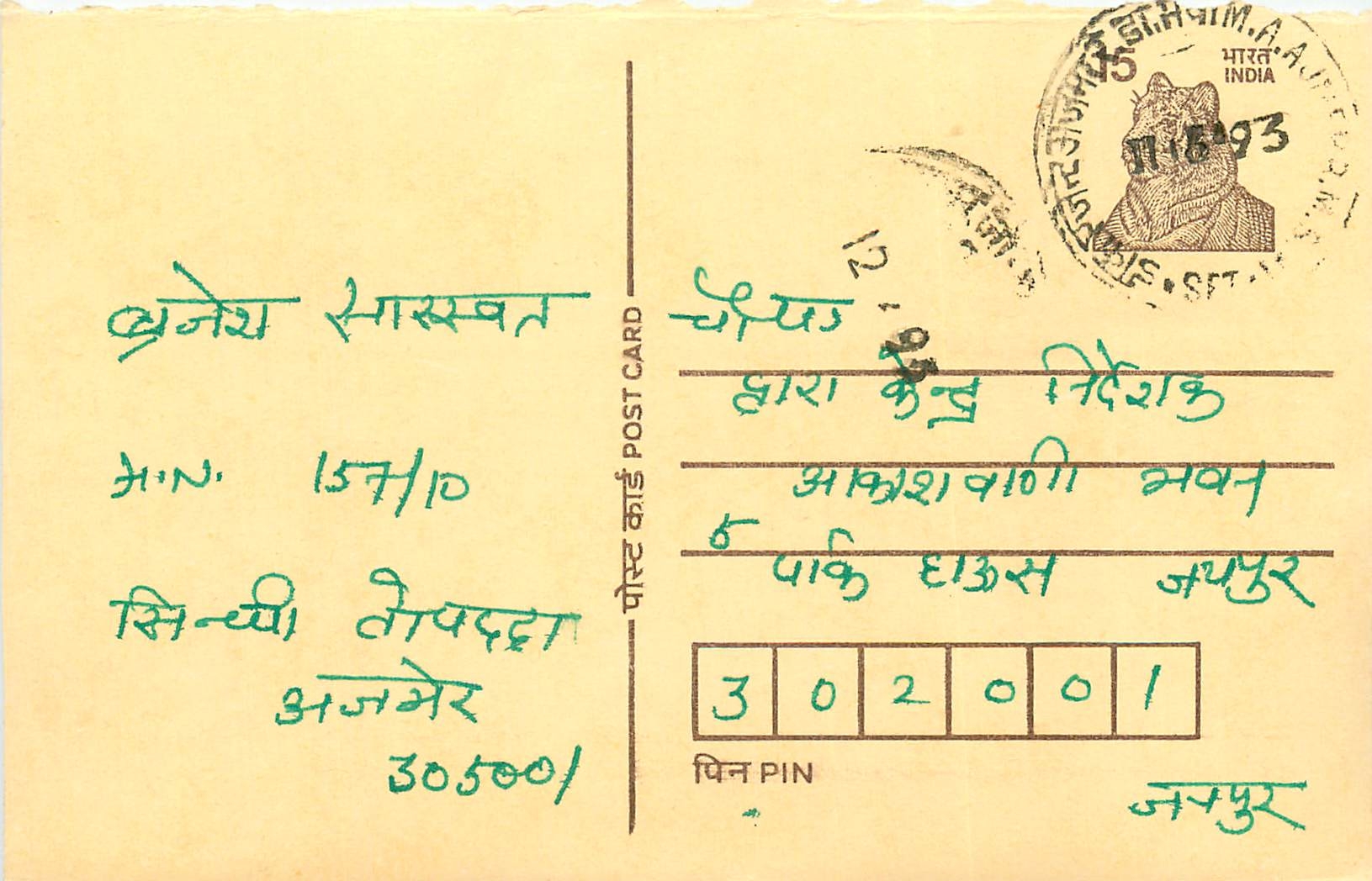 Inde India Cover Card Postal Stationary Tigre