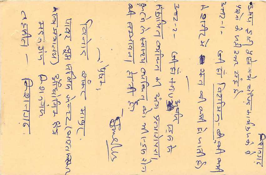 Inde India Cover Card Postal Stationary Tigre — Verso