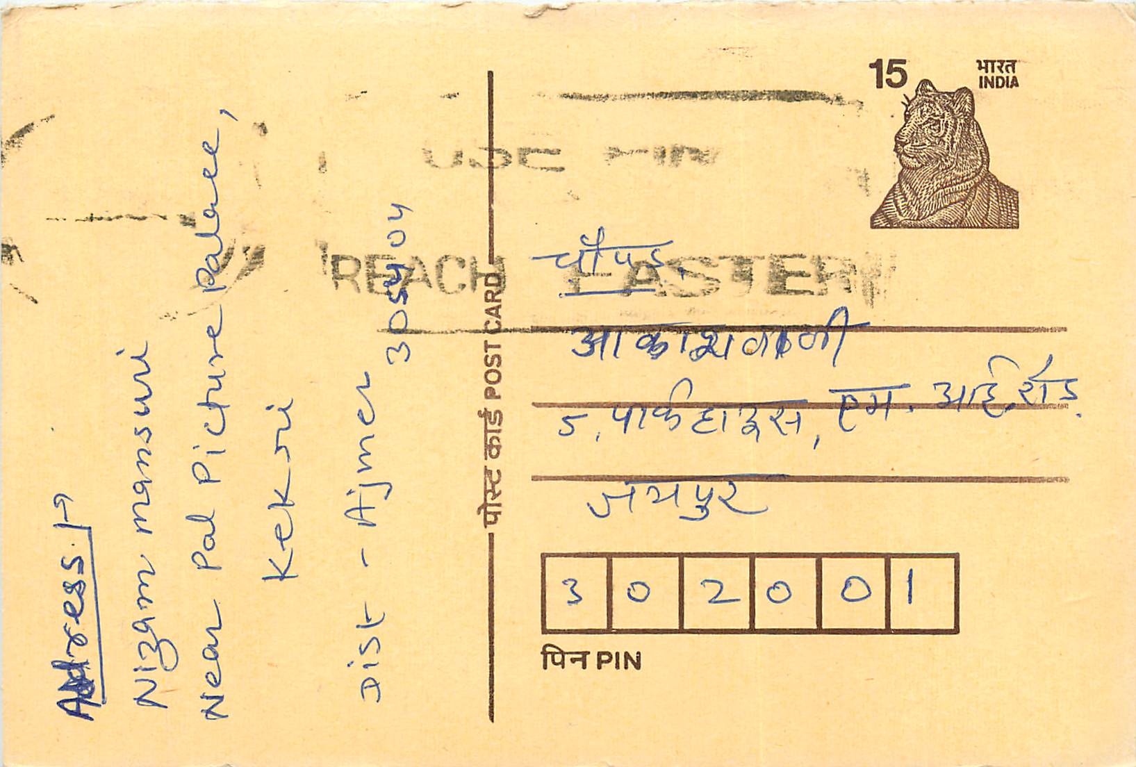 Inde India Cover Card Postal Stationary Tigre