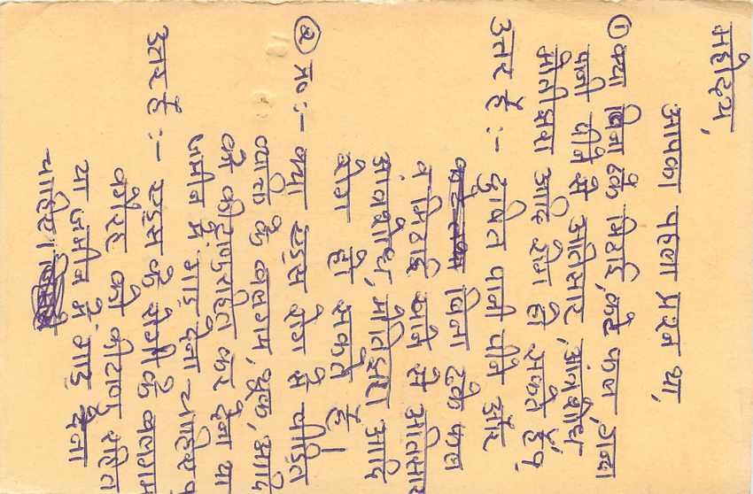 Inde India Cover Card Postal Stationary Tigre — Verso