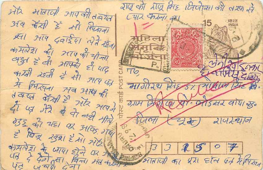 Inde India Cover Card Postal Stationary Tigre