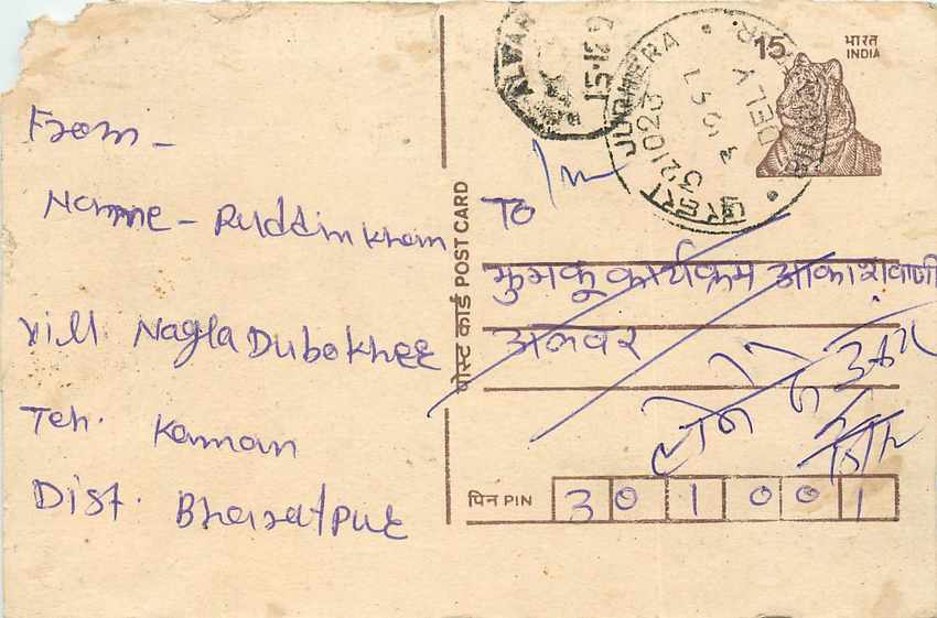 Inde India Cover Card Postal Stationary Tigre