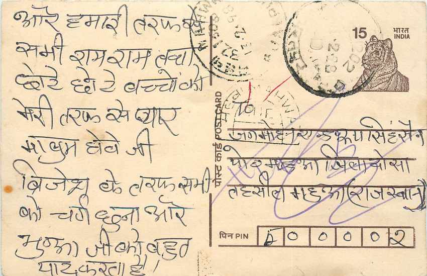 Inde India Cover Card Postal Stationary Tigre