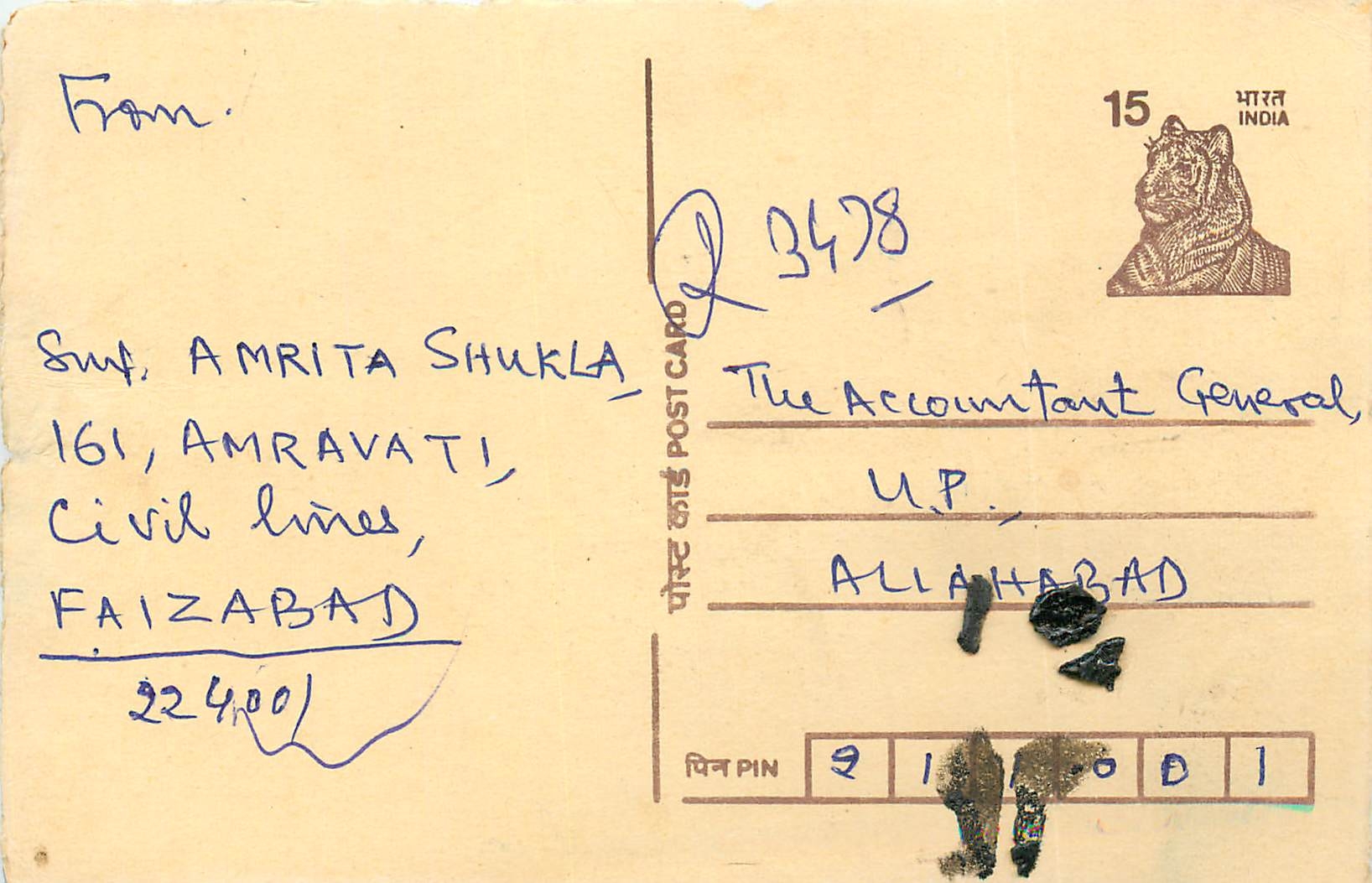 Inde India Cover Card Postal Stationary Tigre