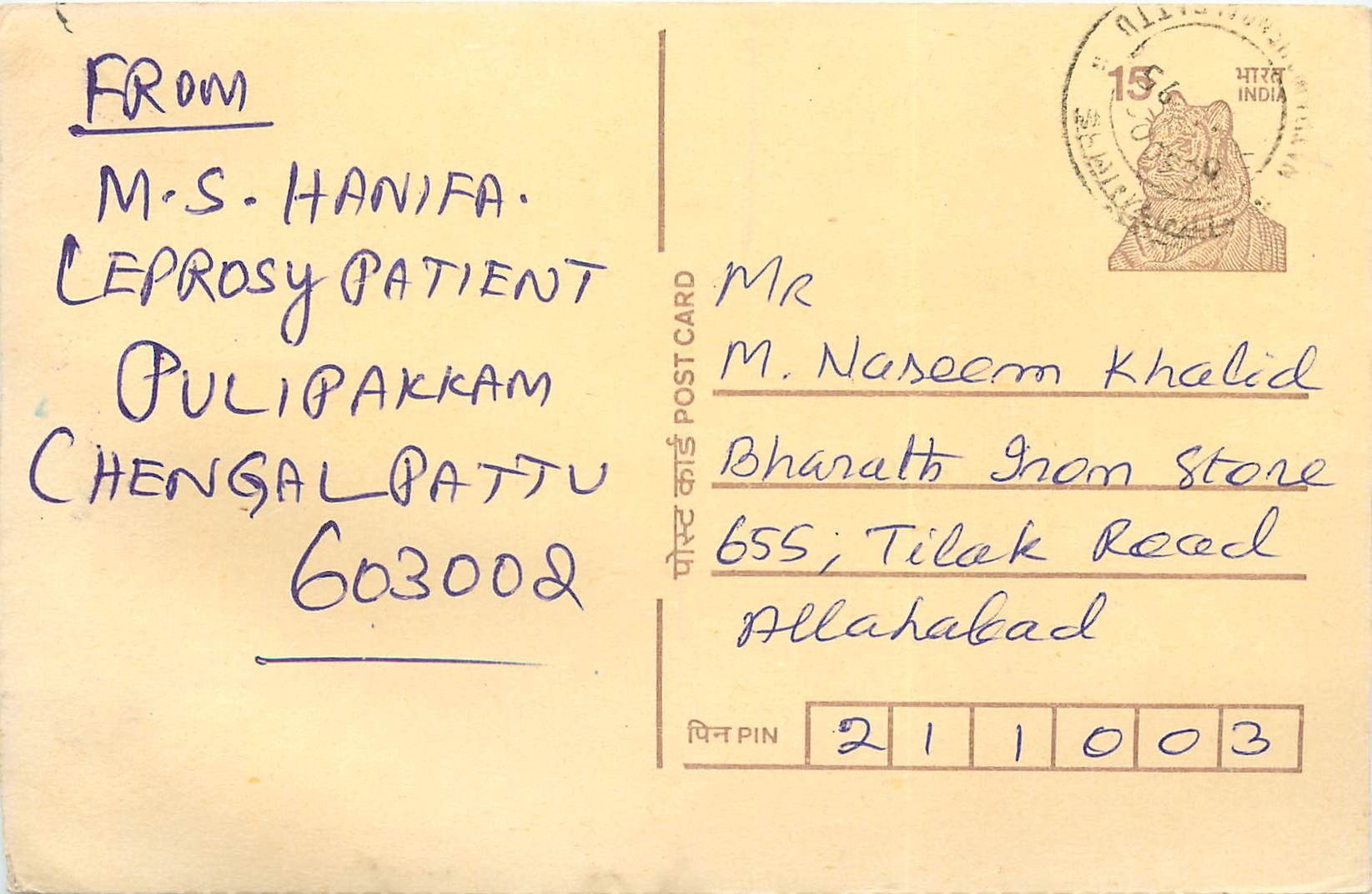 Inde India Cover Card Postal Stationary Tigre
