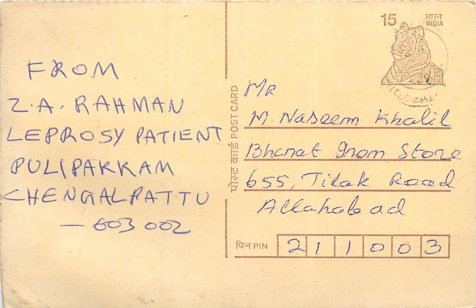 Inde India Cover Card Postal Stationary Tigre